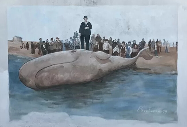 Murales della Balena San Giuliano Rimini